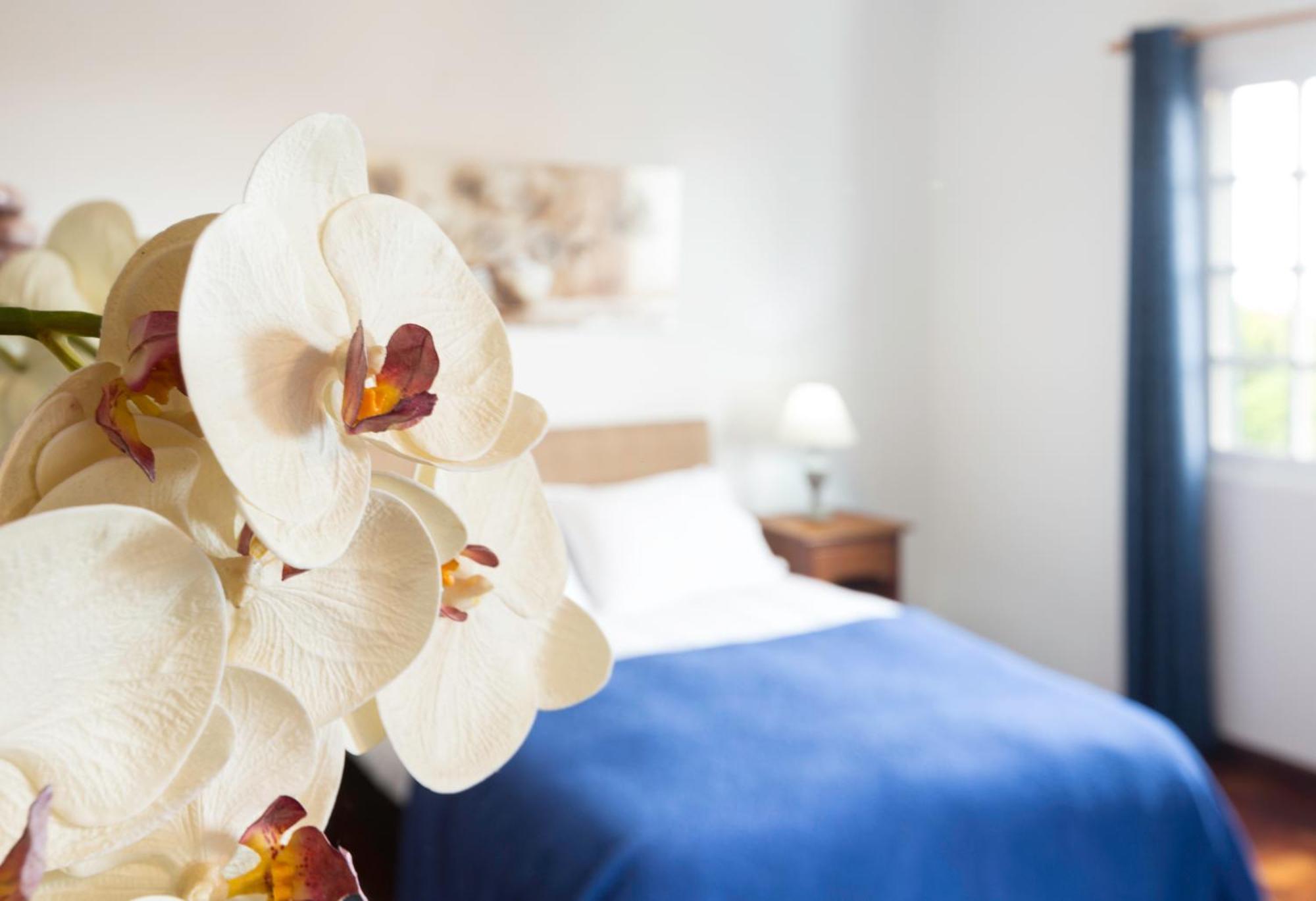 Charming Apartments In Funchal - Sao Goncalo Kamer foto